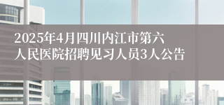 2025年4月四川内江市第六人民医院招聘见习人员3人公告