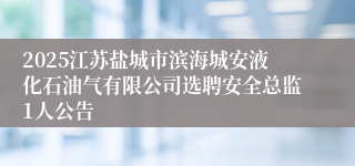 2025江苏盐城市滨海城安液化石油气有限公司选聘安全总监1人公告
