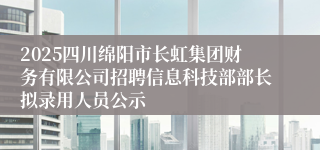 2025四川绵阳市长虹集团财务有限公司招聘信息科技部部长拟录用人员公示