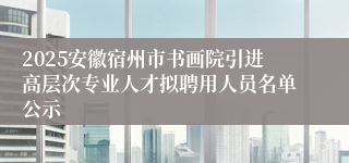 2025安徽宿州市书画院引进高层次专业人才拟聘用人员名单公示