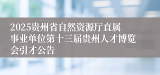 2025贵州省自然资源厅直属事业单位第十三届贵州人才博览会引才公告
