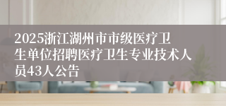 2025浙江湖州市市级医疗卫生单位招聘医疗卫生专业技术人员43人公告