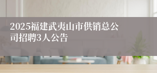 2025福建武夷山市供销总公司招聘3人公告