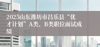 2025山东潍坊市昌乐县“优才计划”A类、B类职位面试成绩