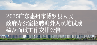 2025广东惠州市博罗县人民政府办公室招聘编外人员笔试成绩及面试工作安排公告