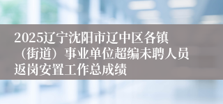 2025辽宁沈阳市辽中区各镇（街道）事业单位超编未聘人员返岗安置工作总成绩
