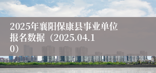2025年襄阳保康县事业单位报名数据（2025.04.10）