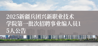 2025新疆兵团兴新职业技术学院第一批次招聘事业编人员15人公告