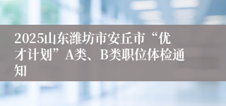 2025山东潍坊市安丘市“优才计划”A类、B类职位体检通知