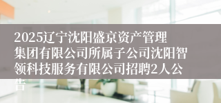 2025辽宁沈阳盛京资产管理集团有限公司所属子公司沈阳智领科技服务有限公司招聘2人公告