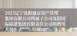 2025辽宁沈阳盛京资产管理集团有限公司所属子公司沈阳国际陆港集团有限责任公司拟聘用人员公示