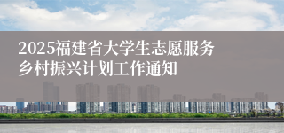 2025福建省大学生志愿服务乡村振兴计划工作通知