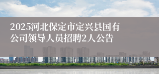 2025河北保定市定兴县国有公司领导人员招聘2人公告