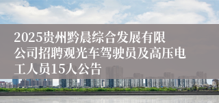 2025贵州黔晨综合发展有限公司招聘观光车驾驶员及高压电工人员15人公告
