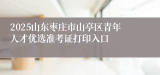 2025山东枣庄市山亭区青年人才优选准考证打印入口