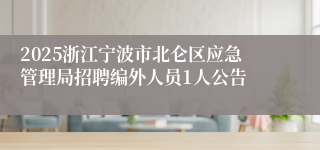 2025浙江宁波市北仑区应急管理局招聘编外人员1人公告