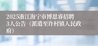 2025浙江海宁市博思睿招聘3人公告（派遣至许村镇人民政府）
