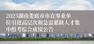 2025湖南娄底市市直事业单位引进高层次和急需紧缺人才集中组考综合成绩公告