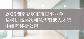 2025湖南娄底市市直事业单位引进高层次和急需紧缺人才集中组考体检公告