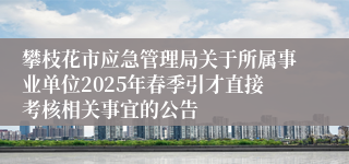 攀枝花市应急管理局关于所属事业单位2025年春季引才直接考核相关事宜的公告