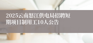 2025云南怒江供电局招聘短期项目制用工10人公告