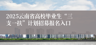 2025云南省高校毕业生“三支一扶”计划招募报名入口