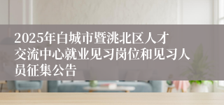 2025年白城市暨洮北区人才交流中心就业见习岗位和见习人员征集公告