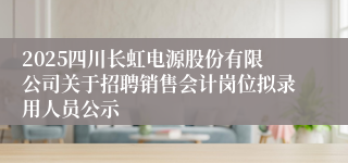 2025四川长虹电源股份有限公司关于招聘销售会计岗位拟录用人员公示