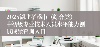 2025湖北孝感市（综合类）中初级专业技术人员水平能力测试成绩查询入口