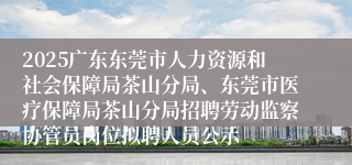 2025广东东莞市人力资源和社会保障局茶山分局、东莞市医疗保障局茶山分局招聘劳动监察协管员岗位拟聘人员公示