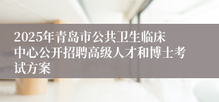 2025年青岛市公共卫生临床中心公开招聘高级人才和博士考试方案