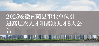 2025安徽南陵县事业单位引进高层次人才和紧缺人才8人公告