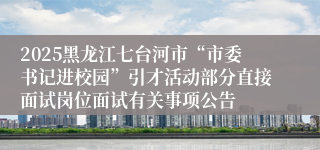 2025黑龙江七台河市“市委书记进校园”引才活动部分直接面试岗位面试有关事项公告