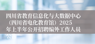 四川省教育信息化与大数据中心（四川省电化教育馆）2025年上半年公开招聘编外工作人员公告