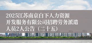 2025江苏南京白下人力资源开发服务有限公司招聘劳务派遣人员2人公告（二十五）