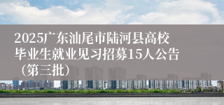 2025广东汕尾市陆河县高校毕业生就业见习招募15人公告（第三批）