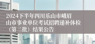2024下半年四川乐山市峨眉山市事业单位考试招聘递补体检（第二批）结果公告