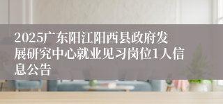 2025广东阳江阳西县政府发展研究中心就业见习岗位1人信息公告