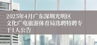 2025年4月广东深圳光明区文化广电旅游体育局选聘特聘专干1人公告