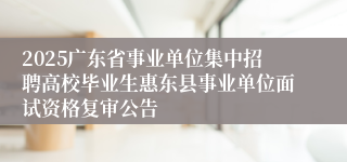 2025广东省事业单位集中招聘高校毕业生惠东县事业单位面试资格复审公告