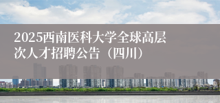 2025西南医科大学全球高层次人才招聘公告（四川）