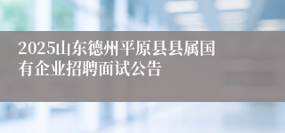 2025山东德州平原县县属国有企业招聘面试公告
