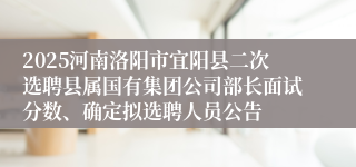 2025河南洛阳市宜阳县二次选聘县属国有集团公司部长面试分数、确定拟选聘人员公告