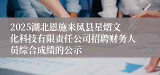 2025湖北恩施来凤县星熠文化科技有限责任公司招聘财务人员综合成绩的公示