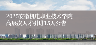 2025安徽机电职业技术学院高层次人才引进15人公告