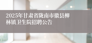 2025年甘肃省陇南市徽县柳林镇卫生院招聘公告