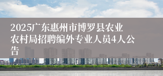 2025广东惠州市博罗县农业农村局招聘编外专业人员4人公告