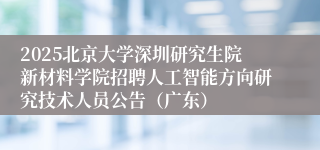 2025北京大学深圳研究生院新材料学院招聘人工智能方向研究技术人员公告（广东）