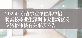 2025广东省事业单位集中招聘高校毕业生深圳市大鹏新区岗位资格审核有关事项公告
