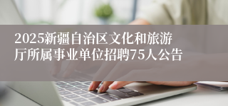2025新疆自治区文化和旅游厅所属事业单位招聘75人公告